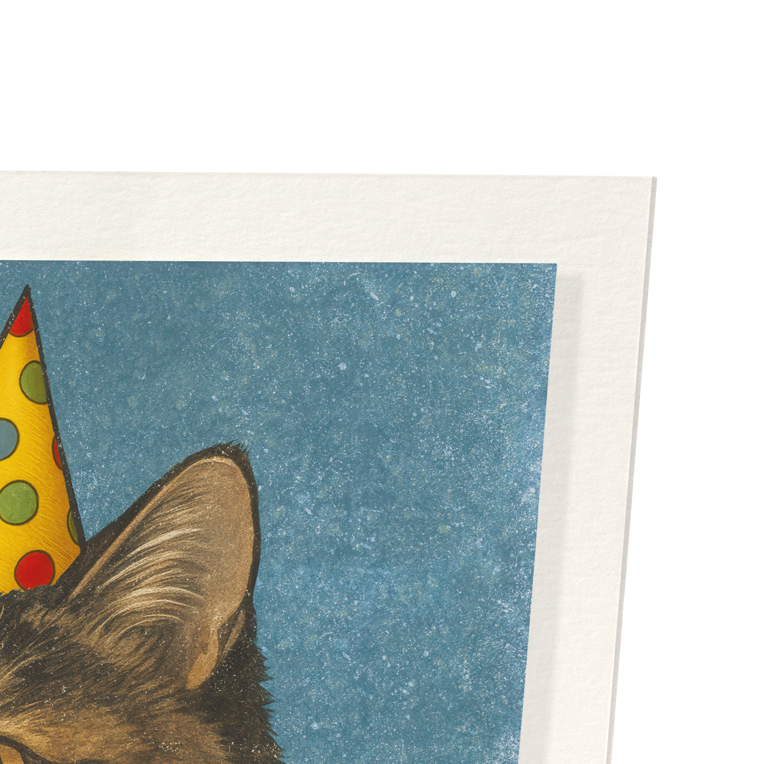 BIRTHDAY CAT AND CAKE