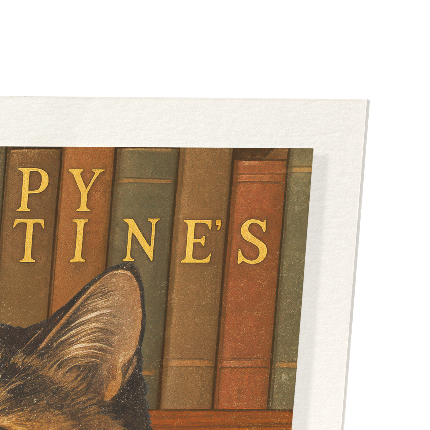 HAPPY VALENTINE'S READING CAT