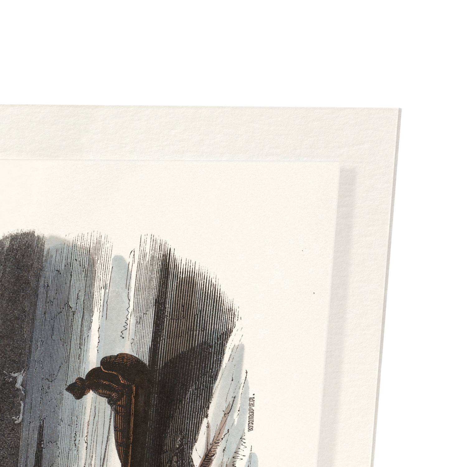 AURORA BOREALIS (1911)