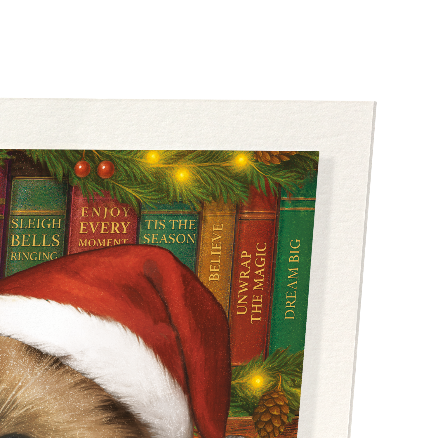CHRISTMAS CAT AND BOOKS