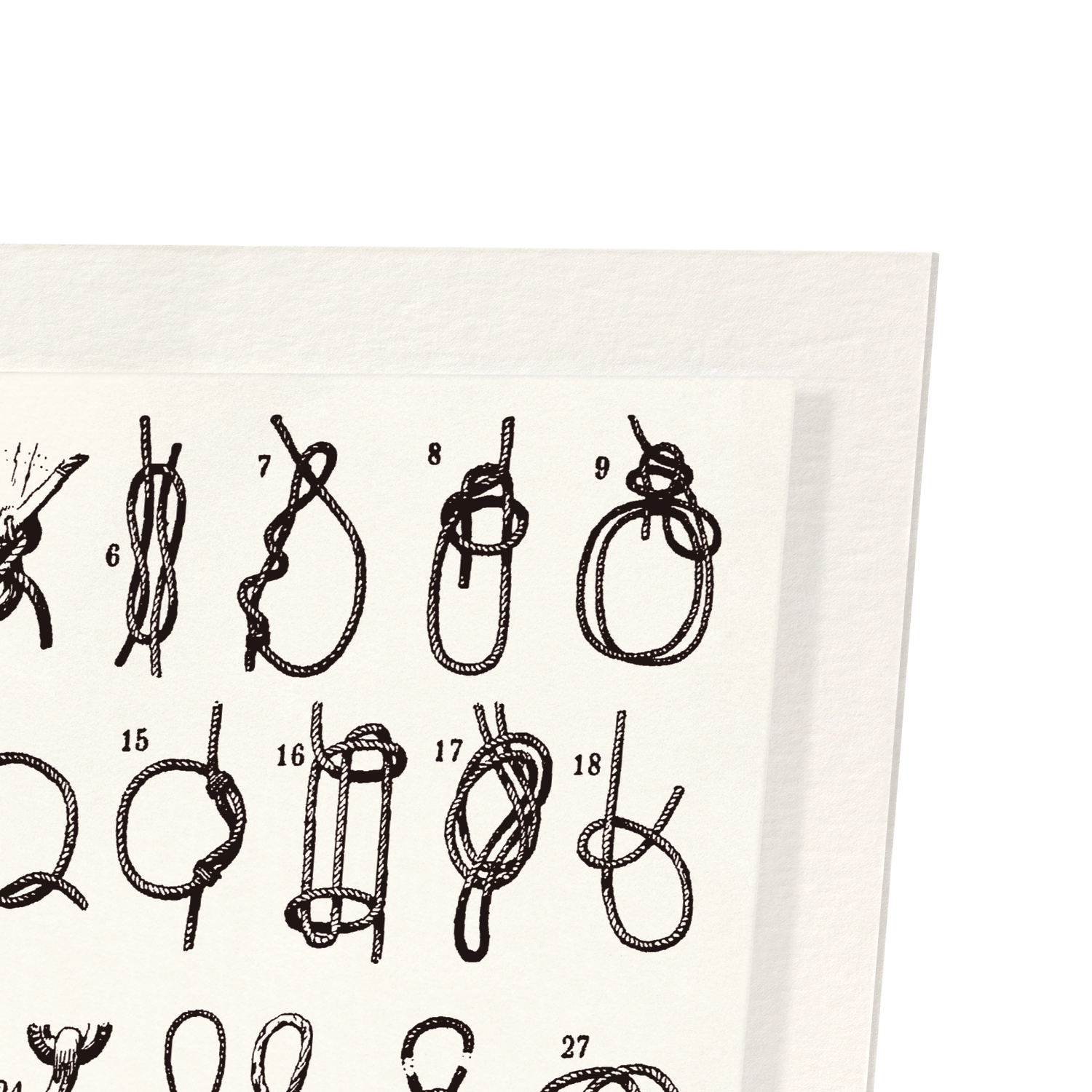 TYPES DE NŒUDS (1909)