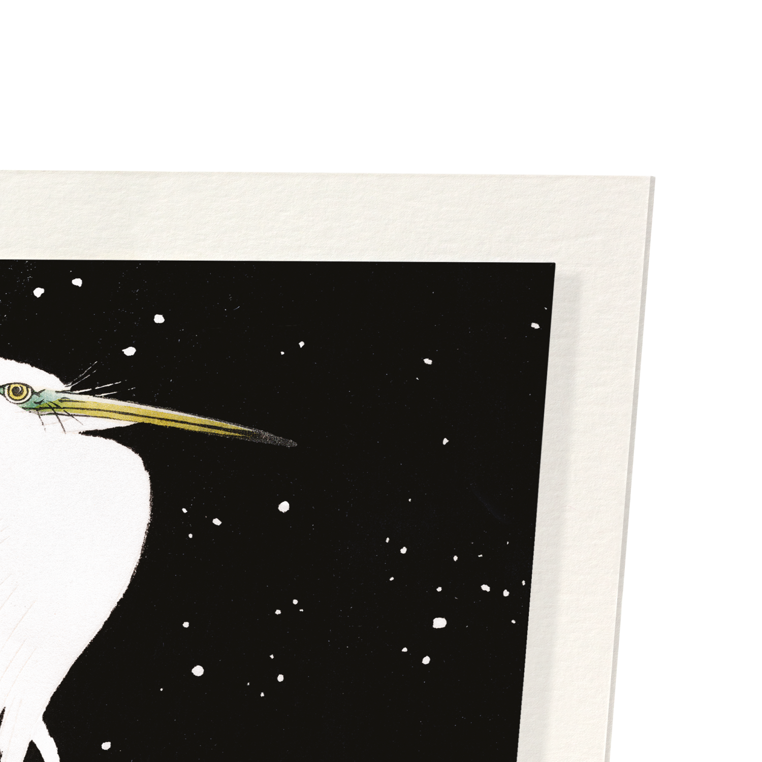 EGRET IN WINTER (C.1910)