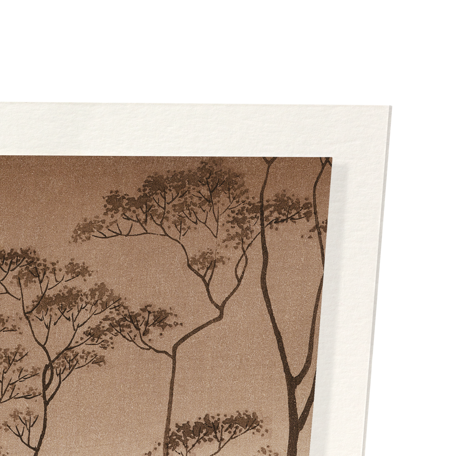 CANAL IN THE MOONLIGHT