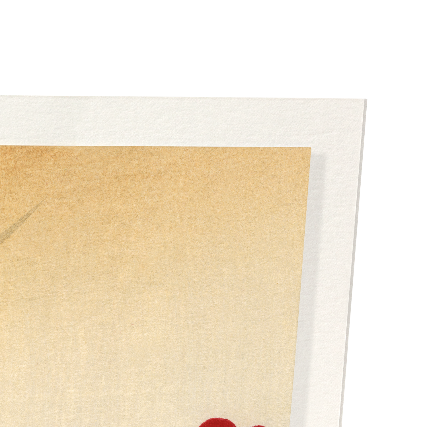 RED PLUM BLOSSOM TREE