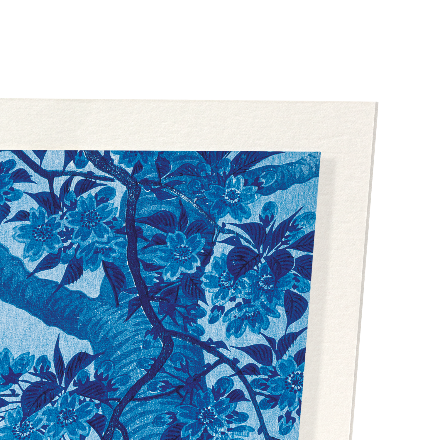 CHERRY BLOSSOMS IN THE MOON (C.1910)