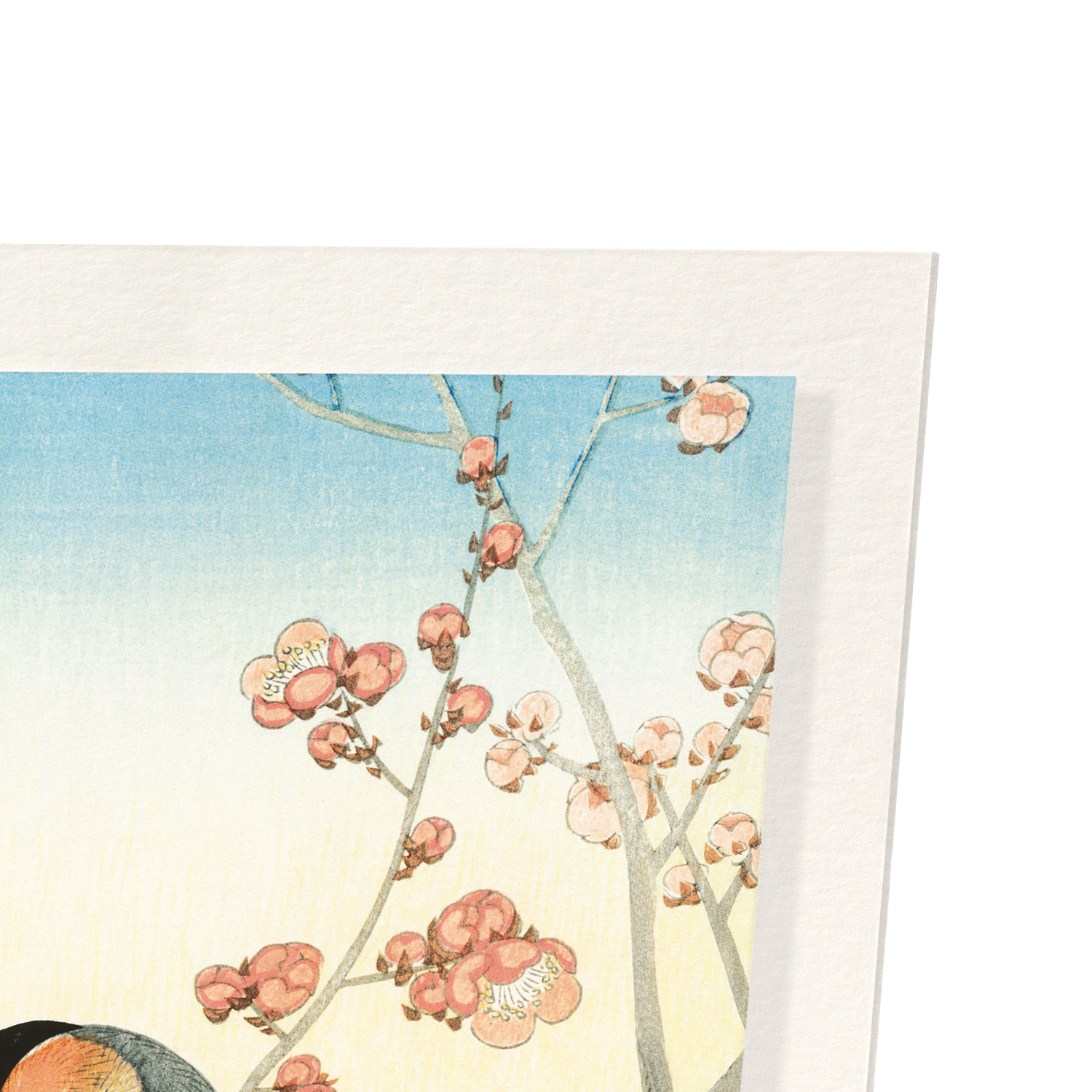 BULLFINCHES AND PLUM BLOSSOMS (C.1900)