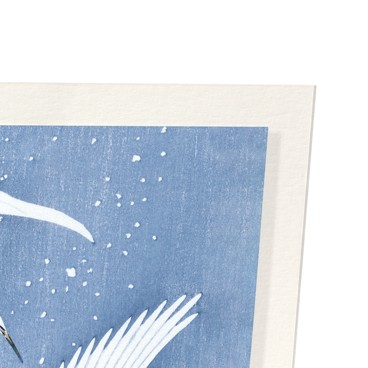 EGRETS DESCENDING IN SNOW