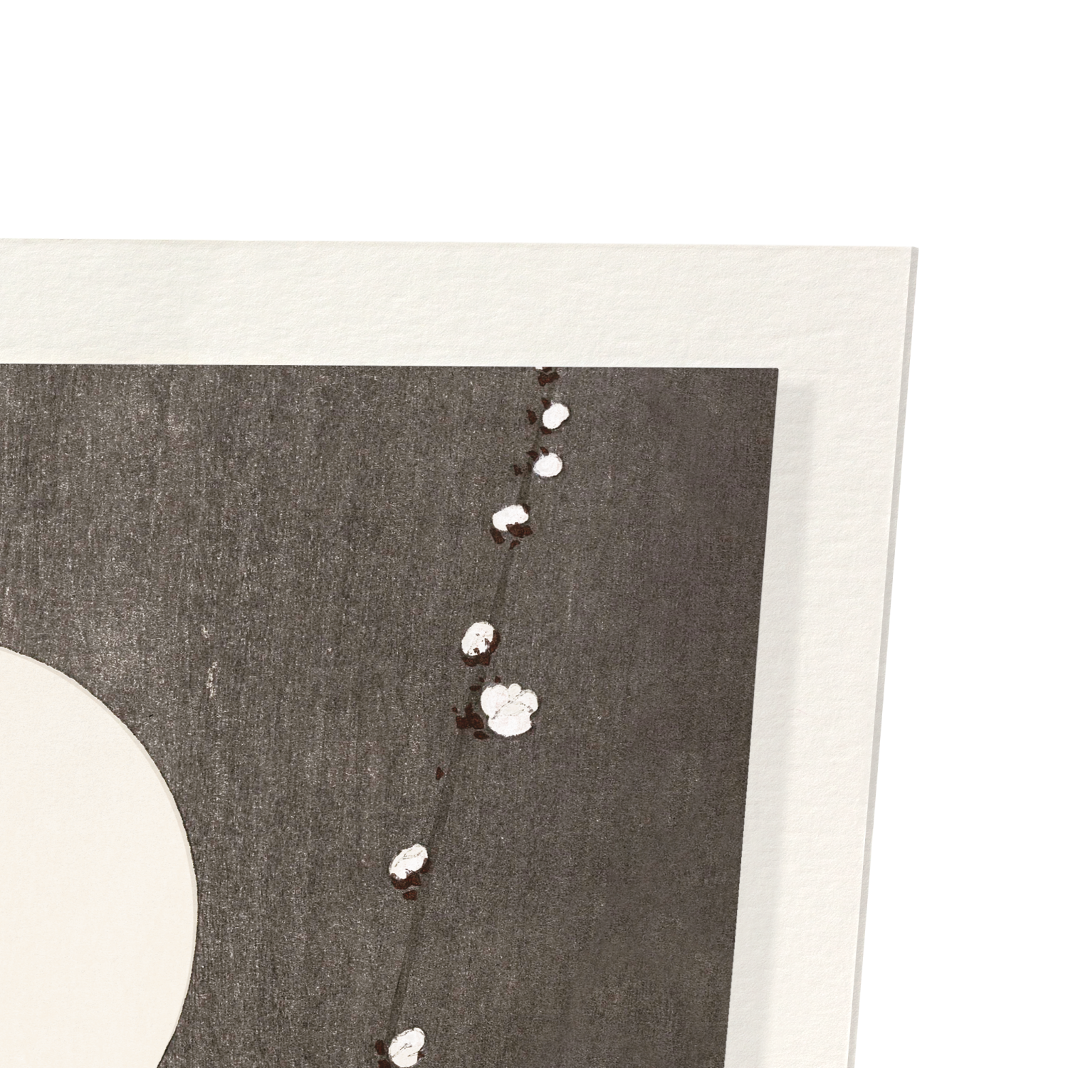 FLOWERING PLUM BLOSSOM AT FULL MOON