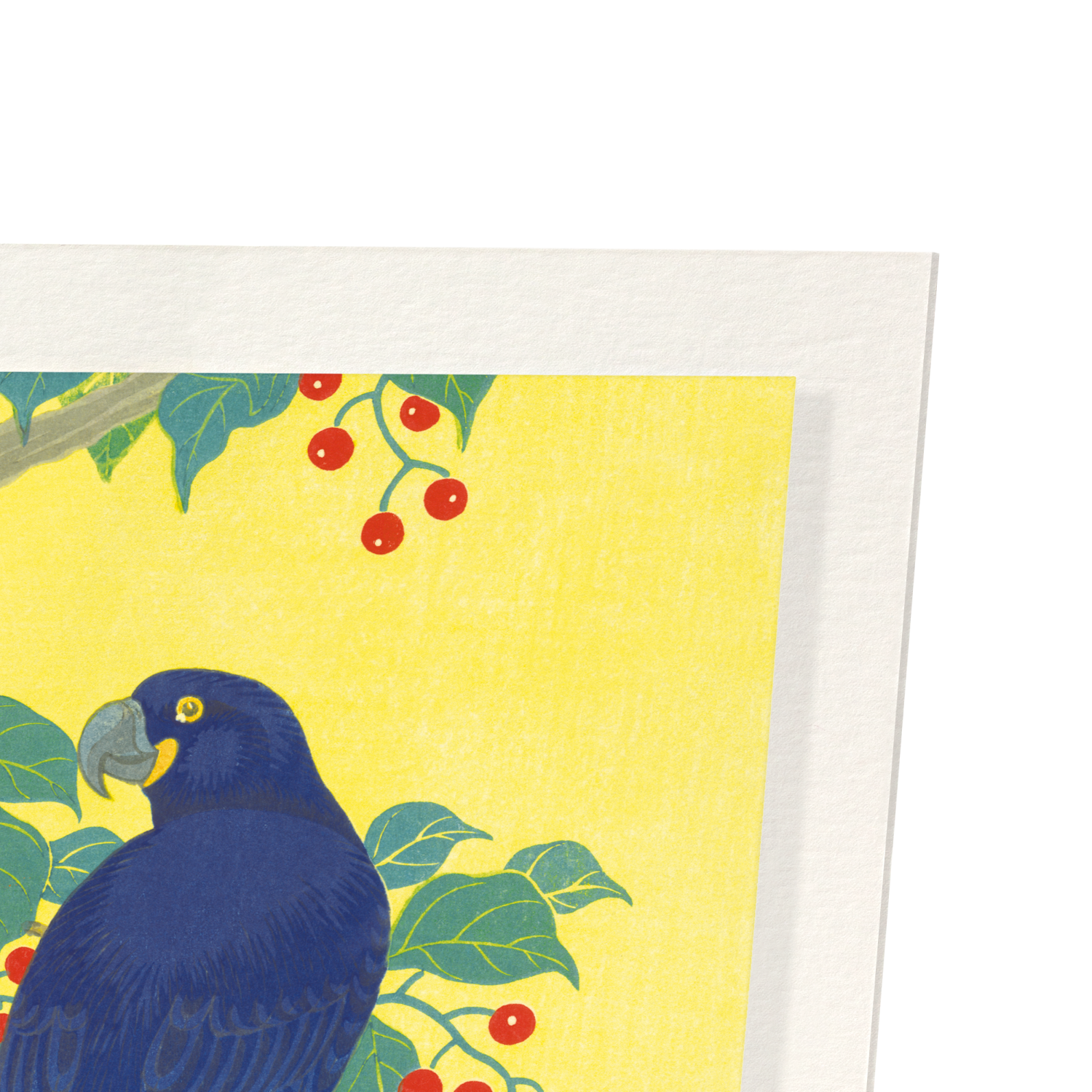 TWO PARROTS AND BERRIES (C.1910)