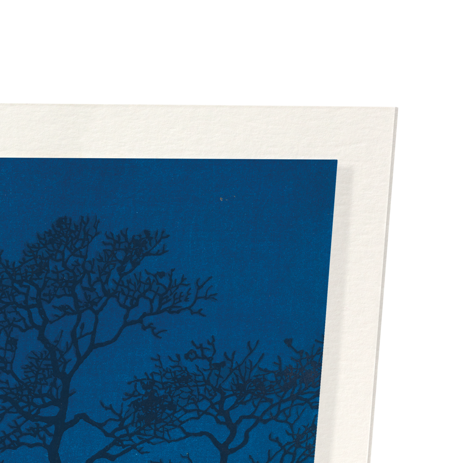 WINTER MOON OVER TOYAMA PLAIN