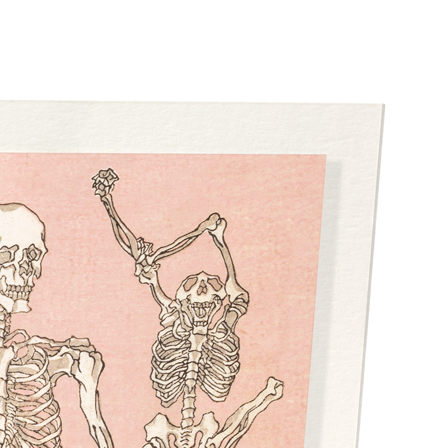 STUDY OF SKELETONS FRONT (1881)