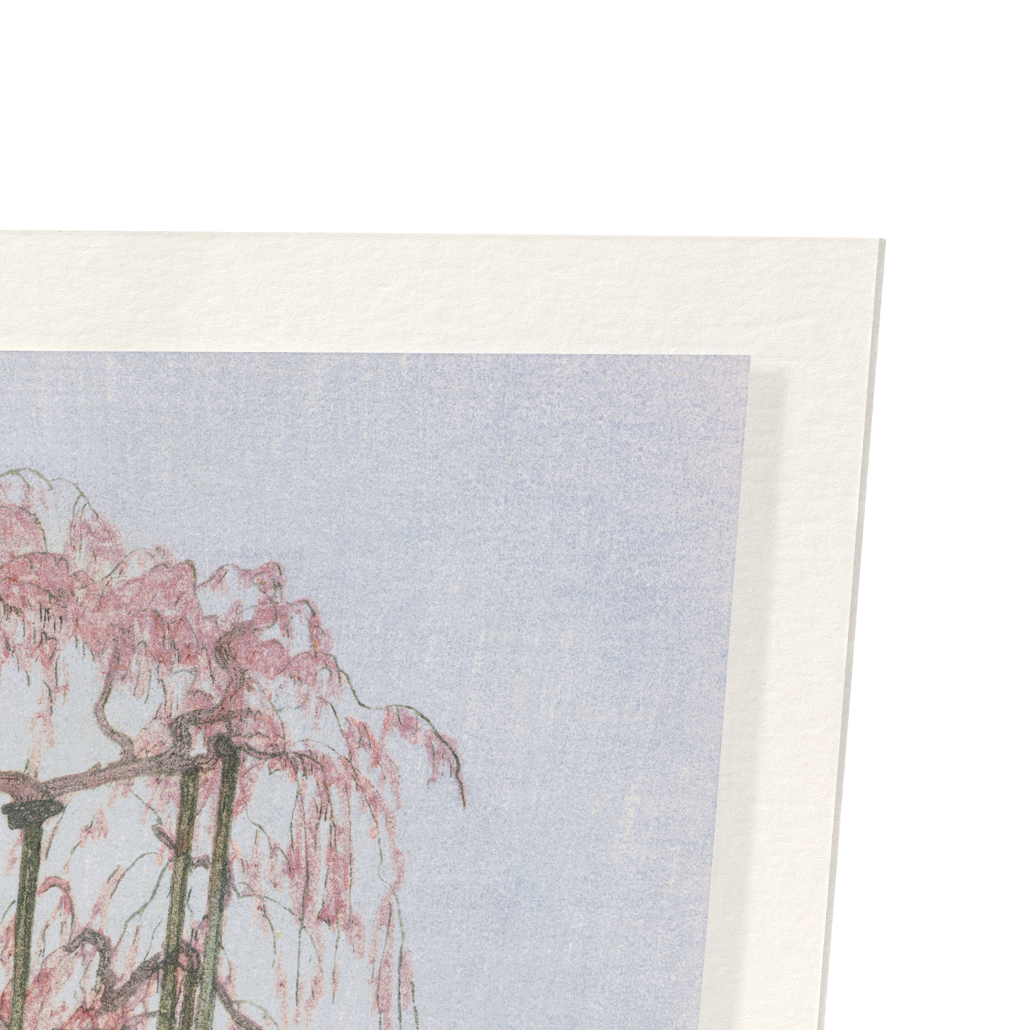 YOZAKURA IN THE RAIN