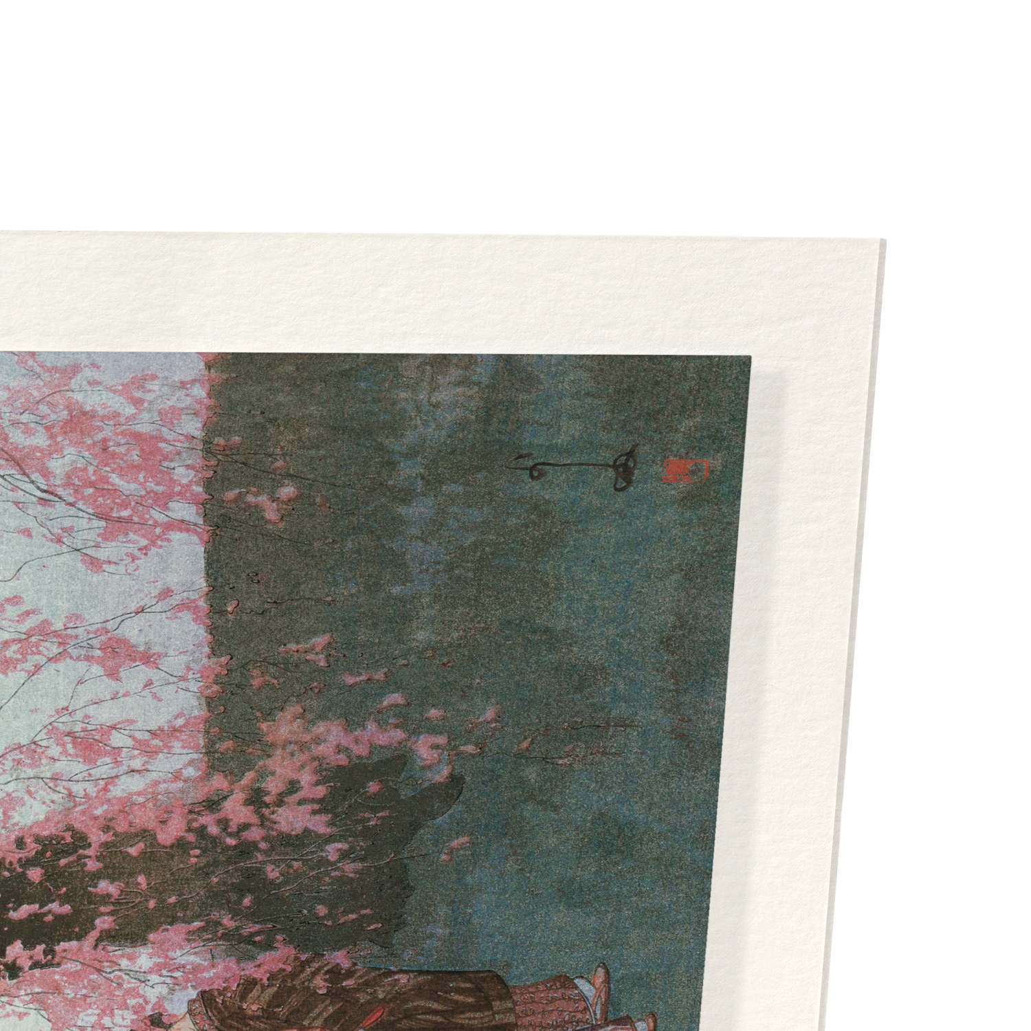 KUMOI CHERRY TREES (1920)