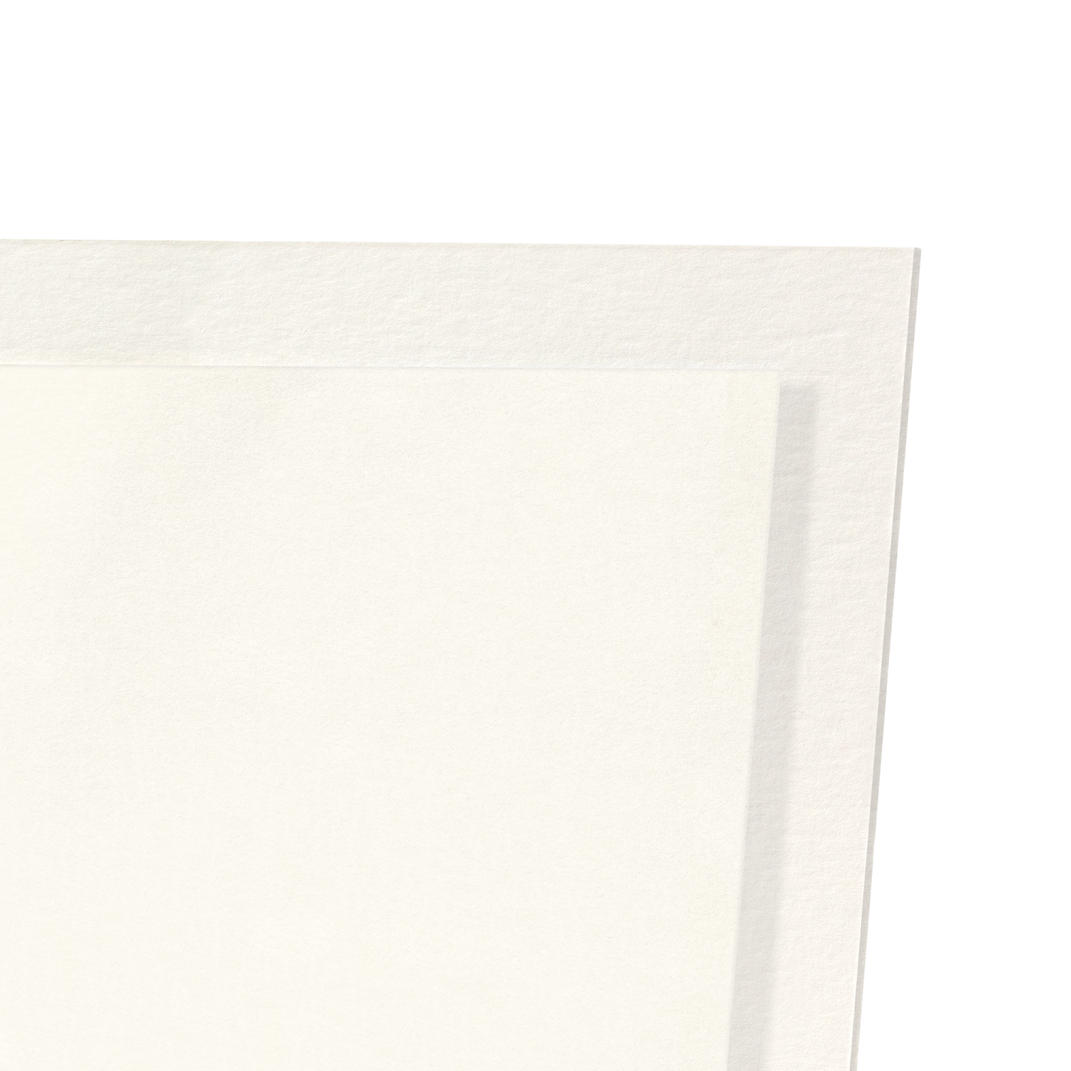 ROYAL ALBERT HALL EZEN FROG