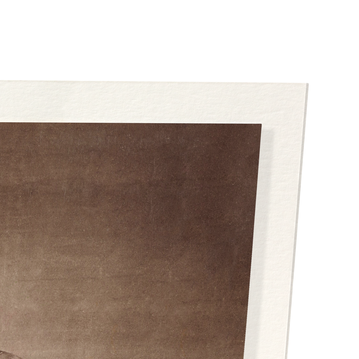 SUMO WRESTLERS IN THE RING (LATE 19TH C.)