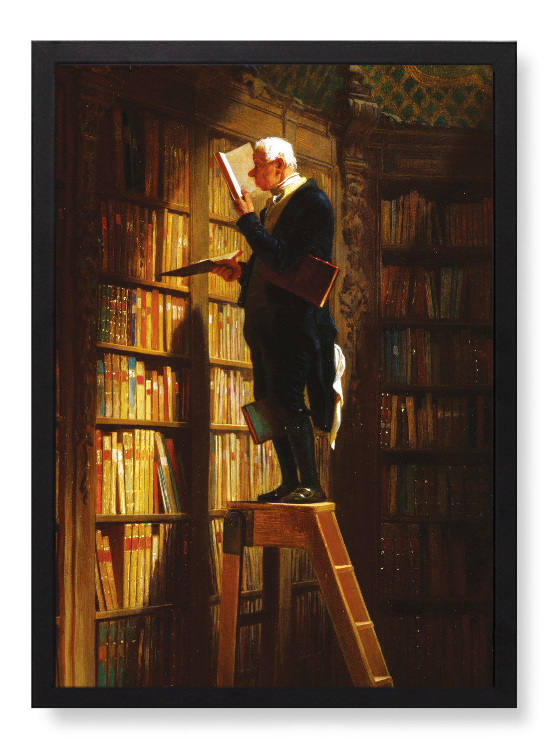 BOOKWORM (C.1850)