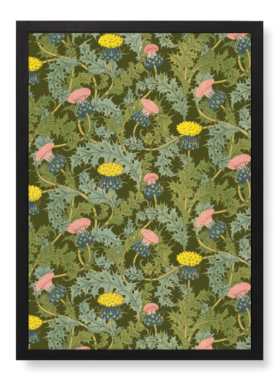 THISTLE (1897)