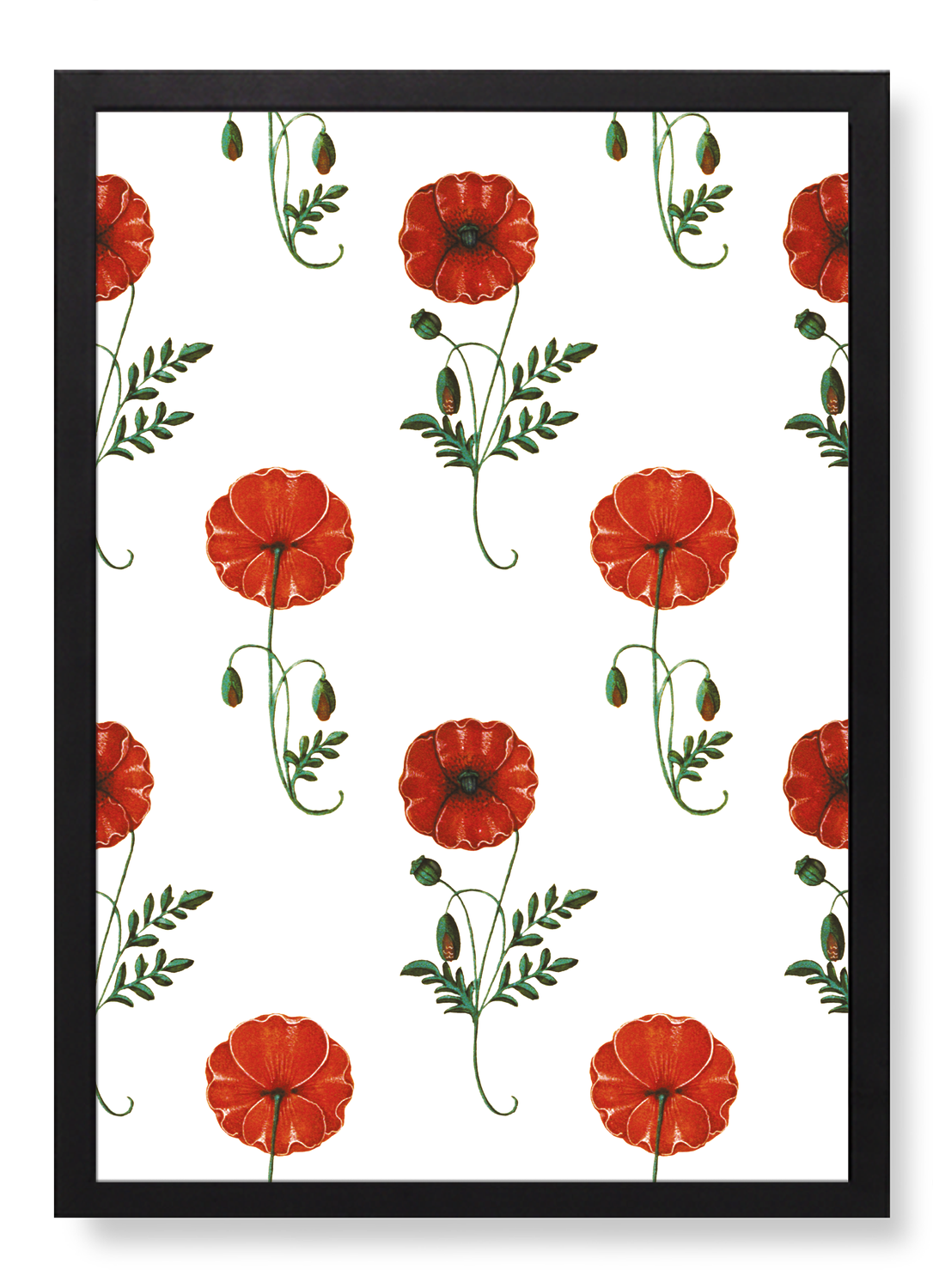 RED POPPIES (C.1520)