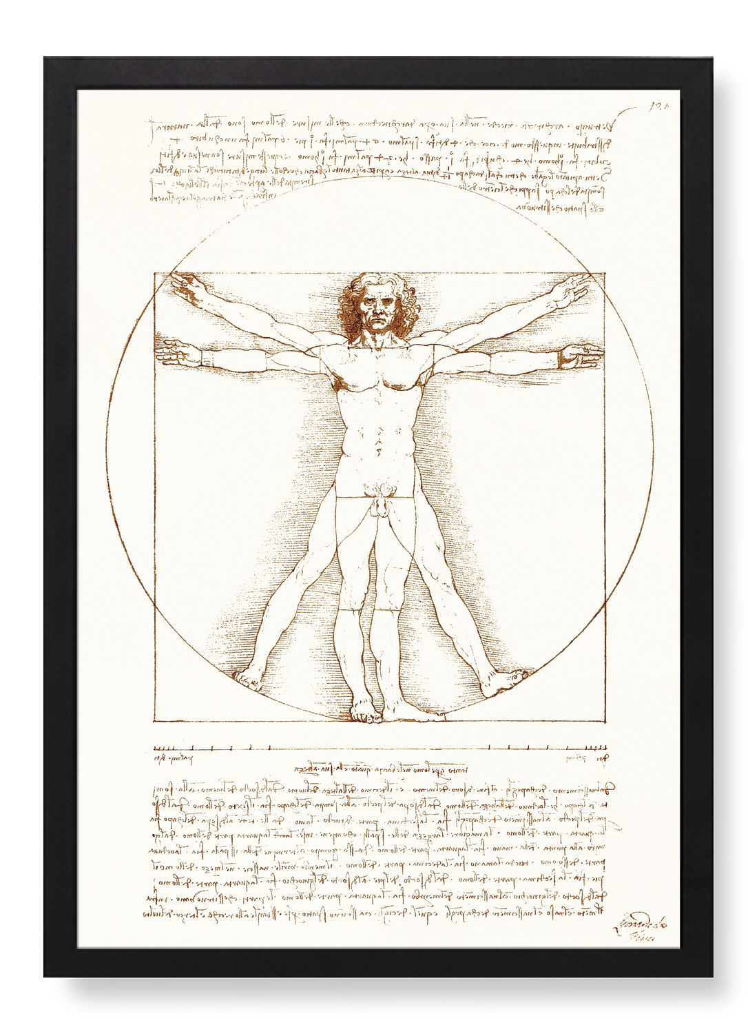 VITRUVIAN MAN (C.1490)