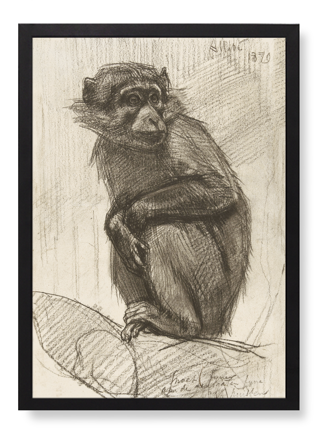 MONKEY ON A BRANCH (1879)