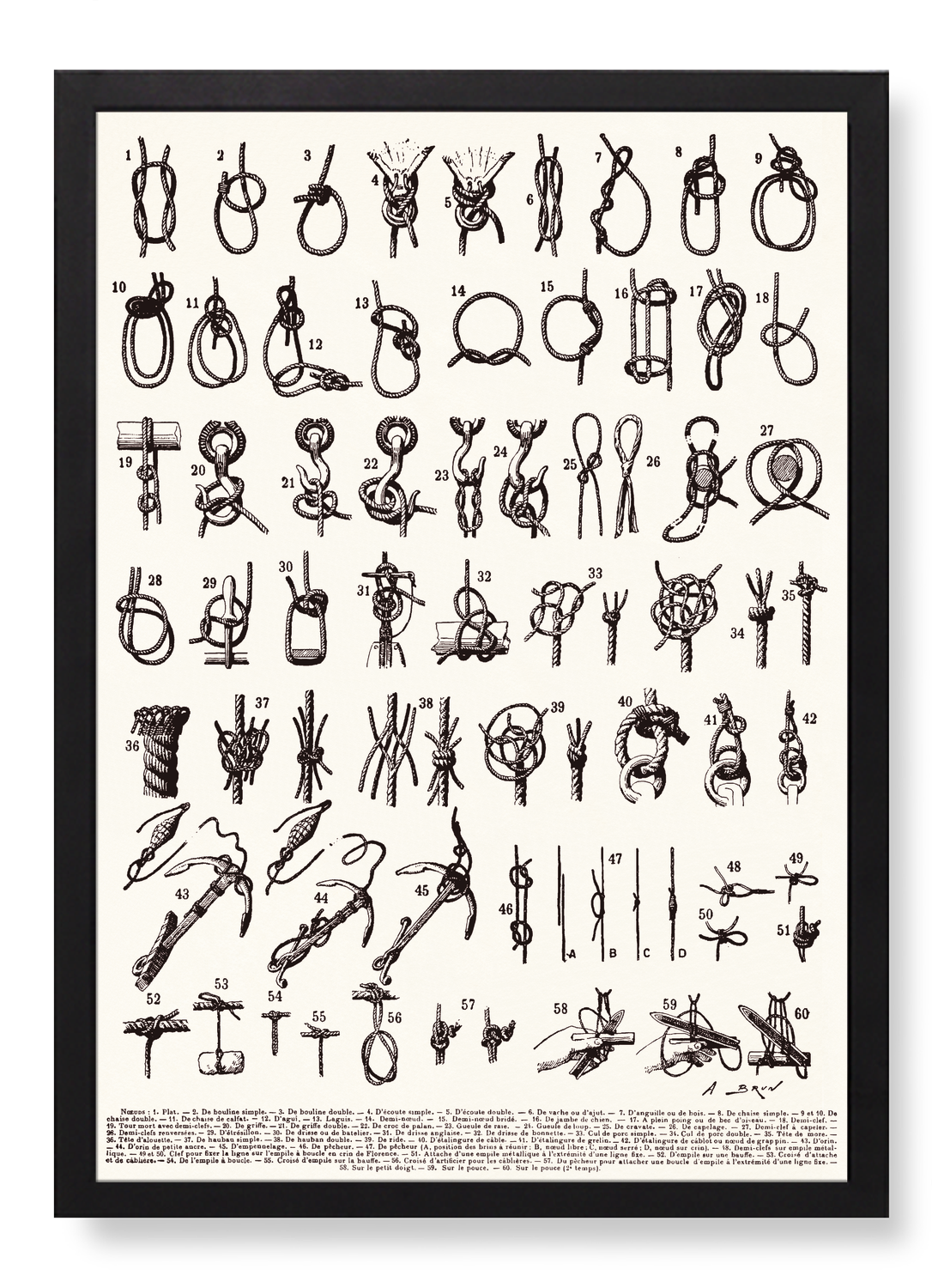 TYPES DE NŒUDS (1909)