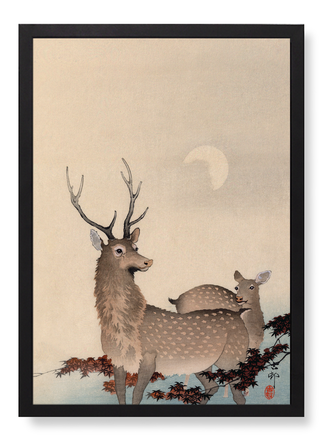 TWO DEER AND MAPLE