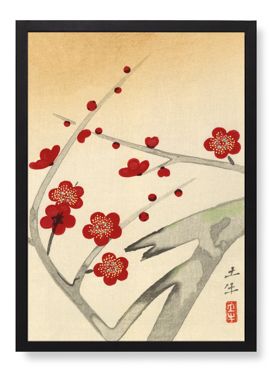 RED PLUM BLOSSOM TREE