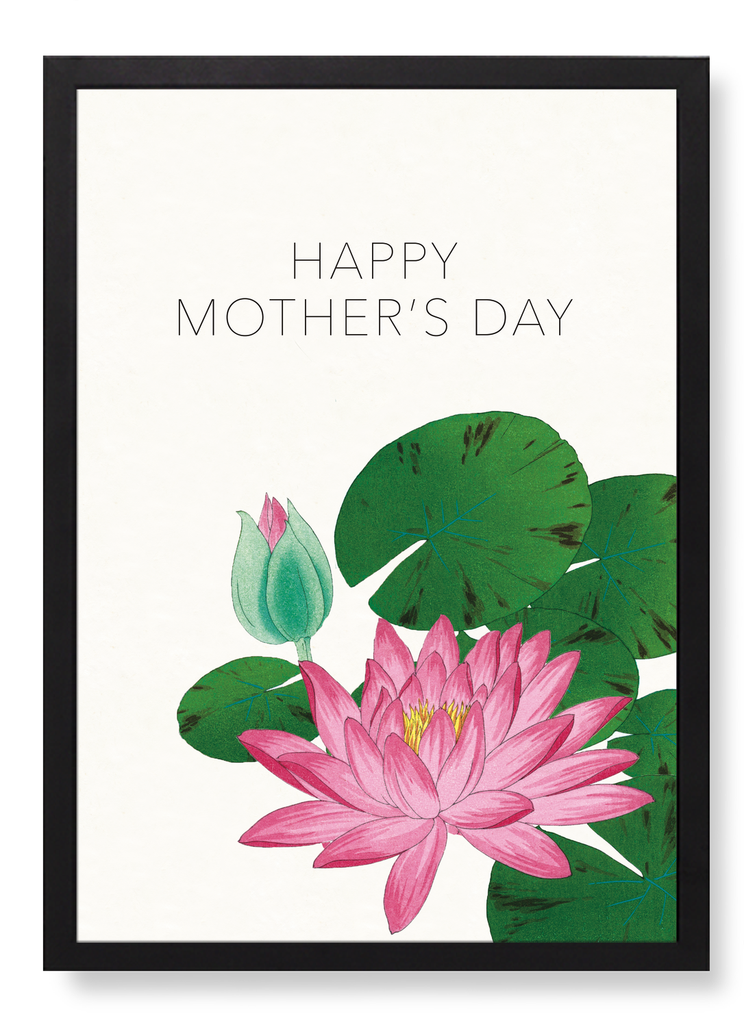 MOTHER’S DAY WATERLILY