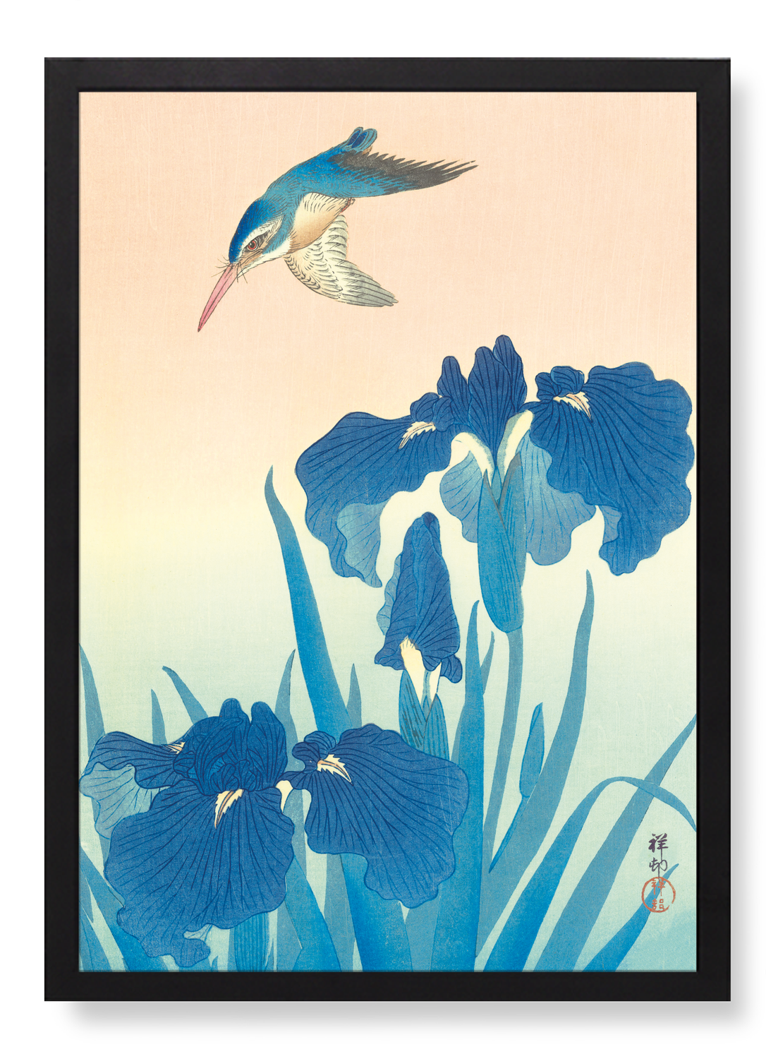 KINGFISHER AND IRIS