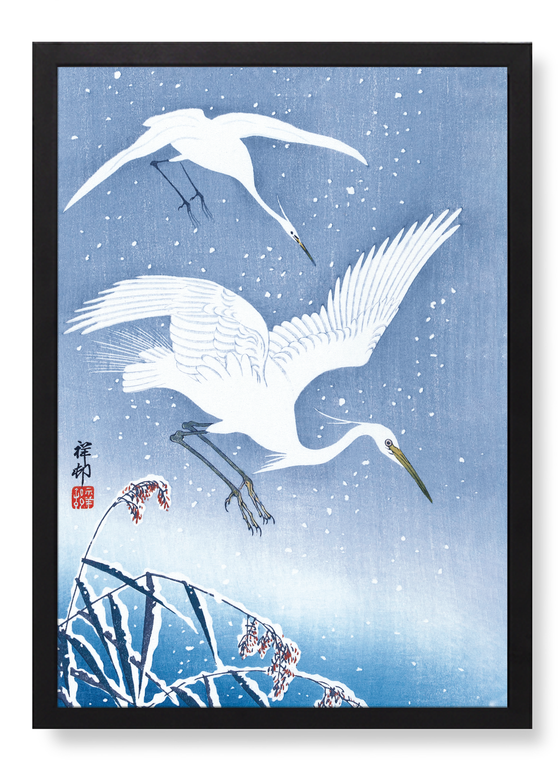 EGRETS DESCENDING IN SNOW