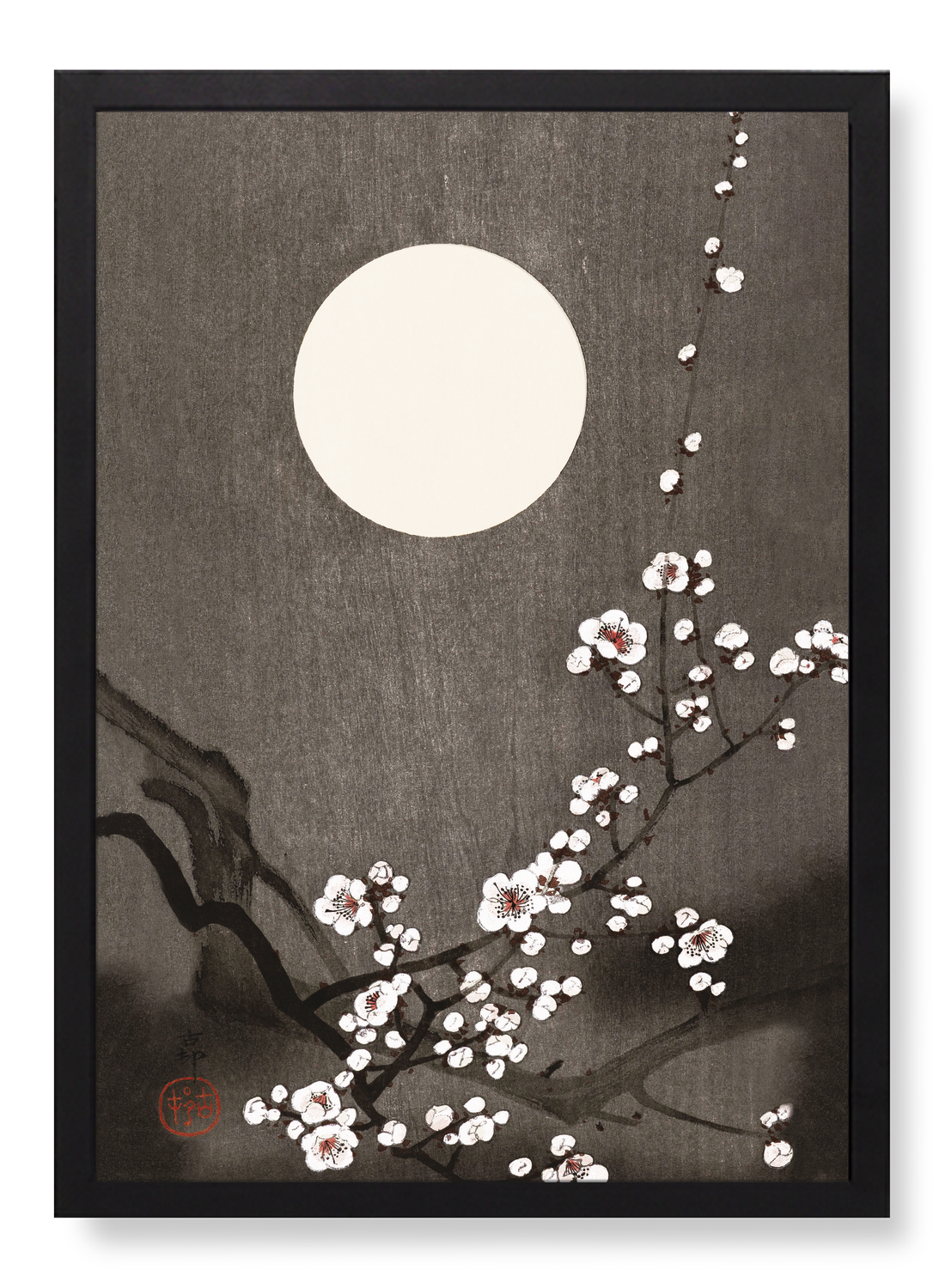 FLOWERING PLUM BLOSSOM AT FULL MOON