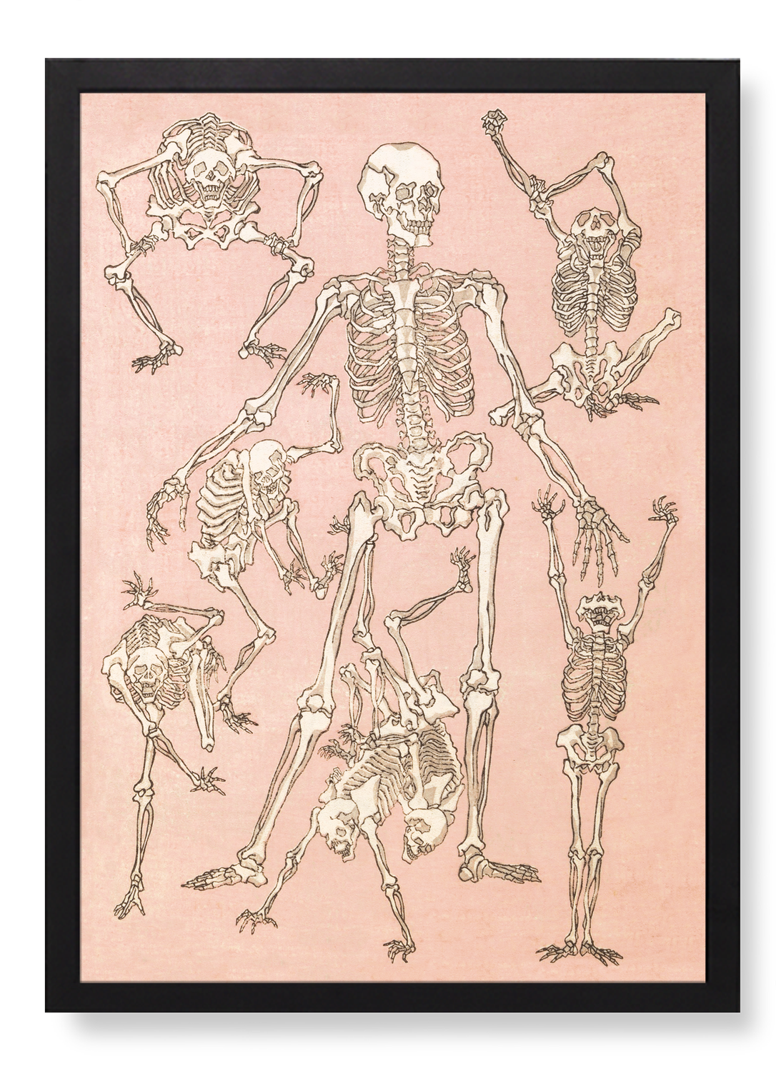 STUDY OF SKELETONS FRONT (1881)