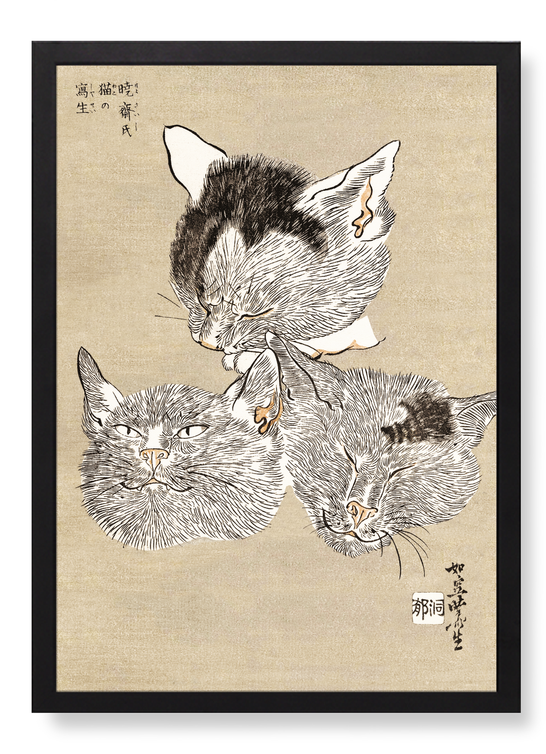 THREE CAT HEADS (C.1880)