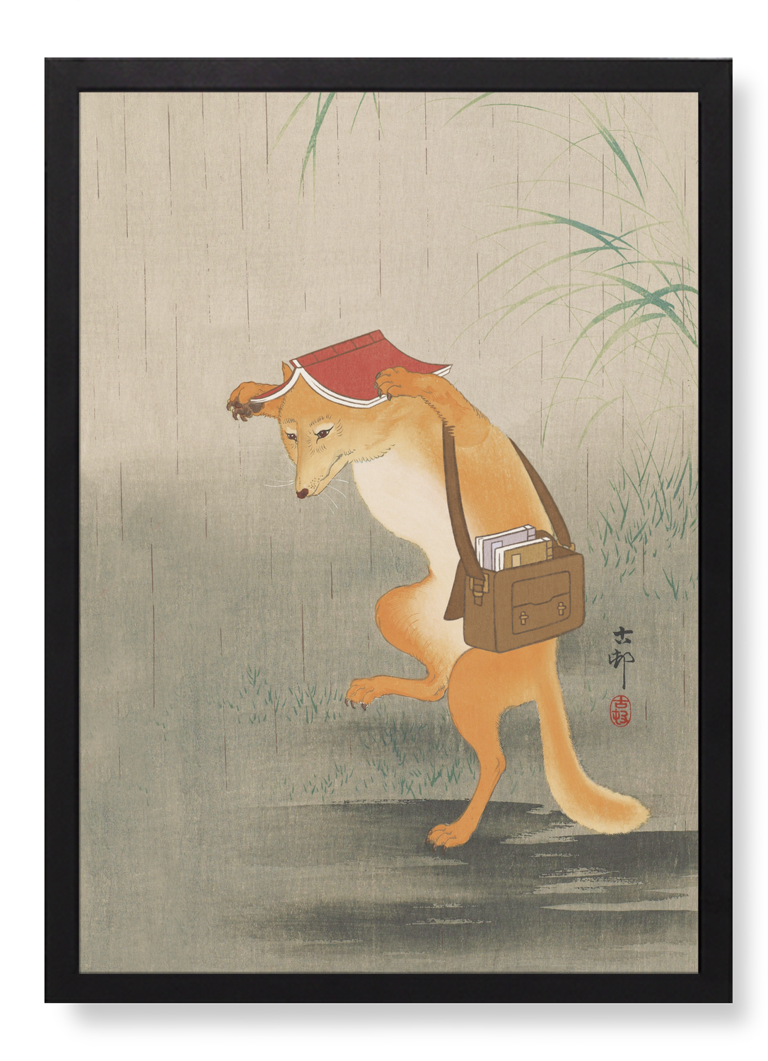 BOOK LOVING FOX