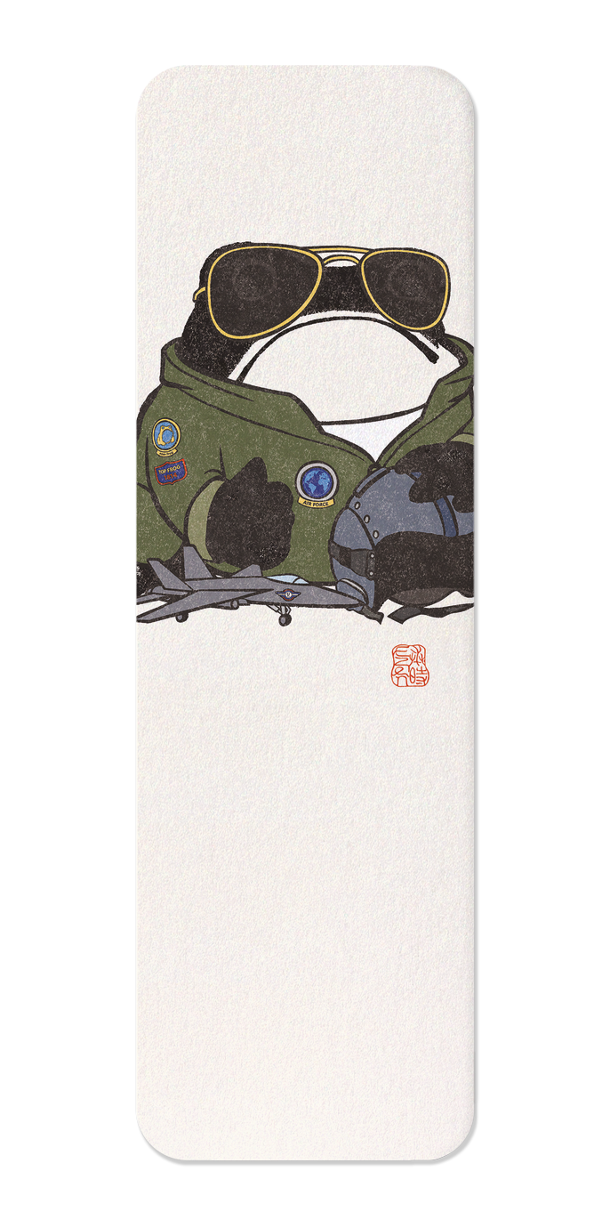 Ezen - Air Pilot Ezen Frog - Bookmark - Front
