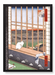 Print in the frame