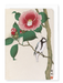 Ezen - Bird and Camellia (c.1910) - Greeting Card - Front