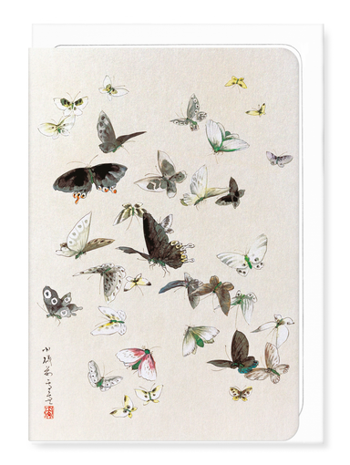 Ezen - Butterflies and Moths (1830-1850) - Greeting Card - Front