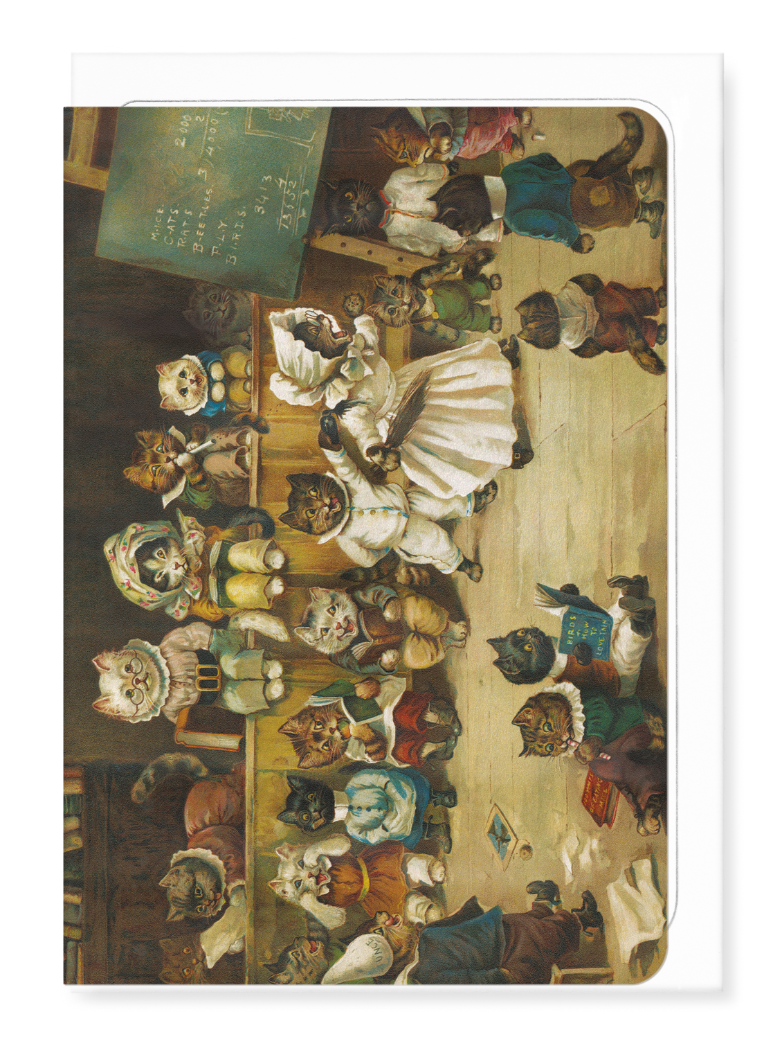 Ezen - Cats at school - Greeting Card - Front