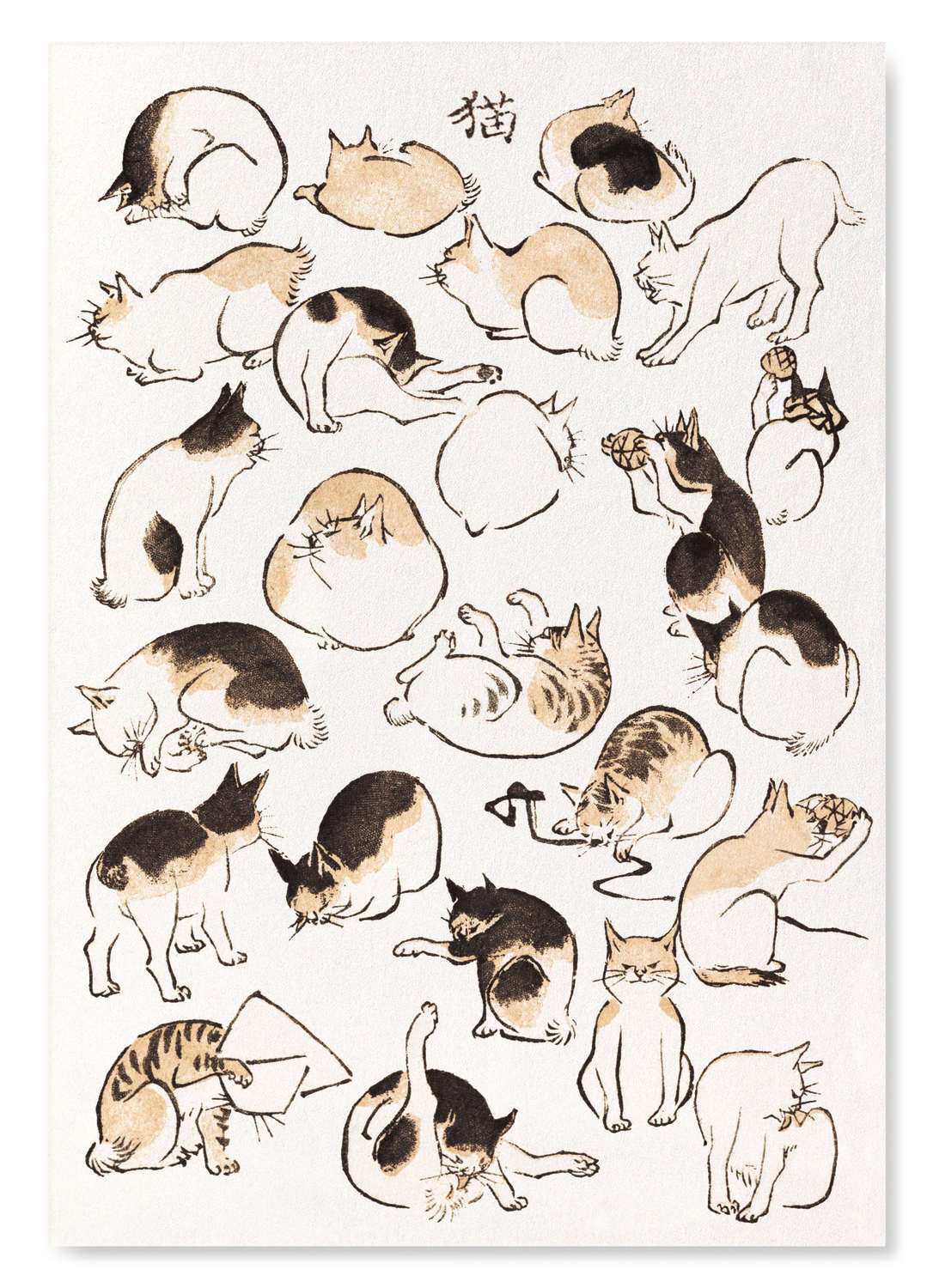 The print