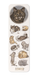 Ezen - Cats La Chasse illustrée (1879) - Bookmark - Front