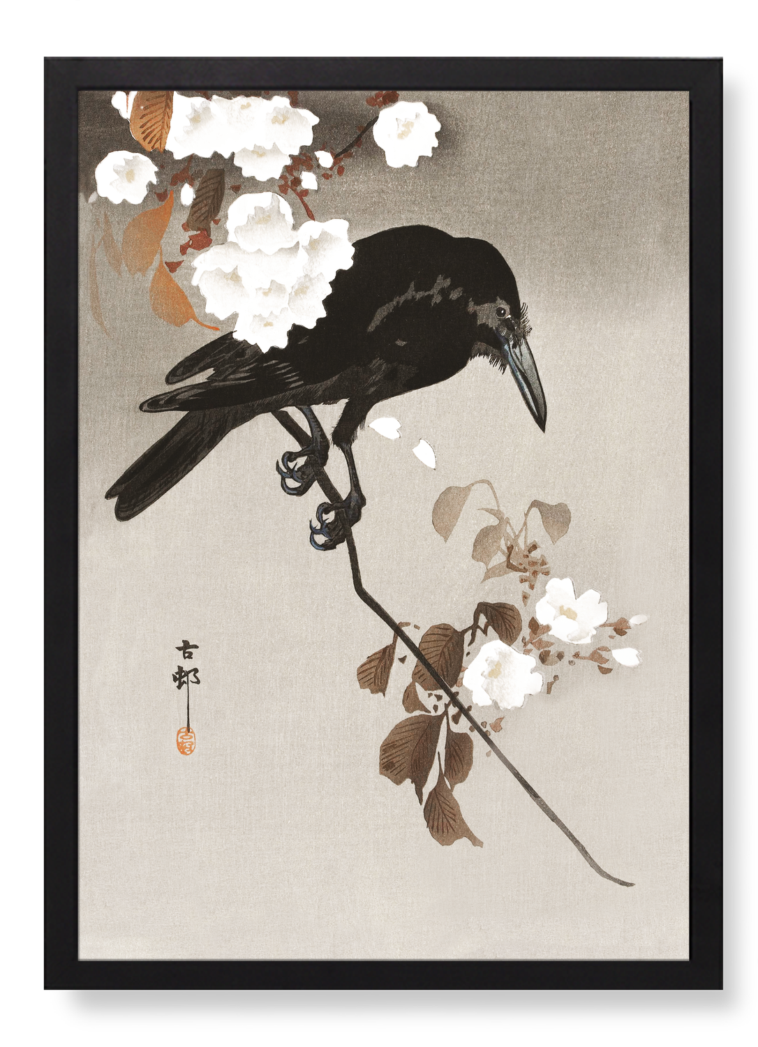 Print in the frame