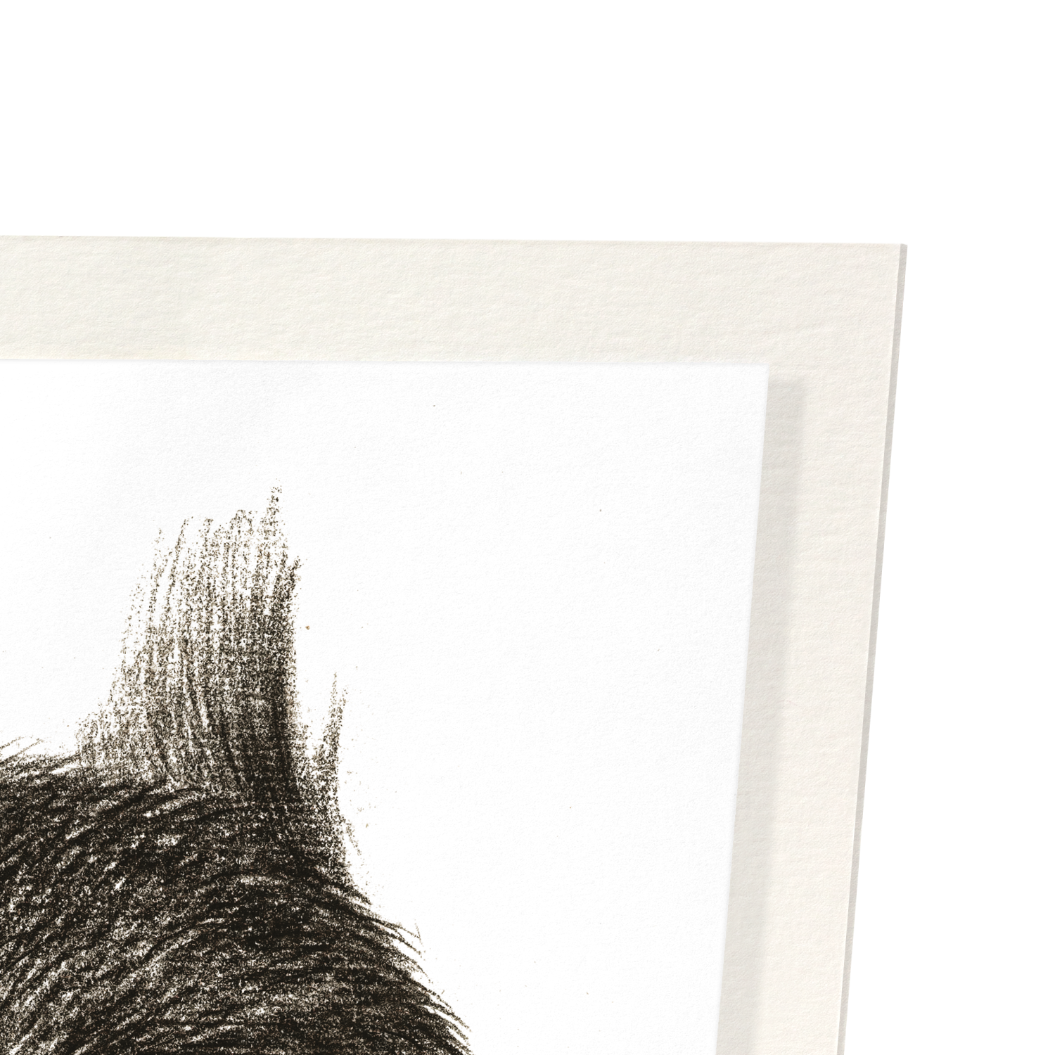 Detail from print