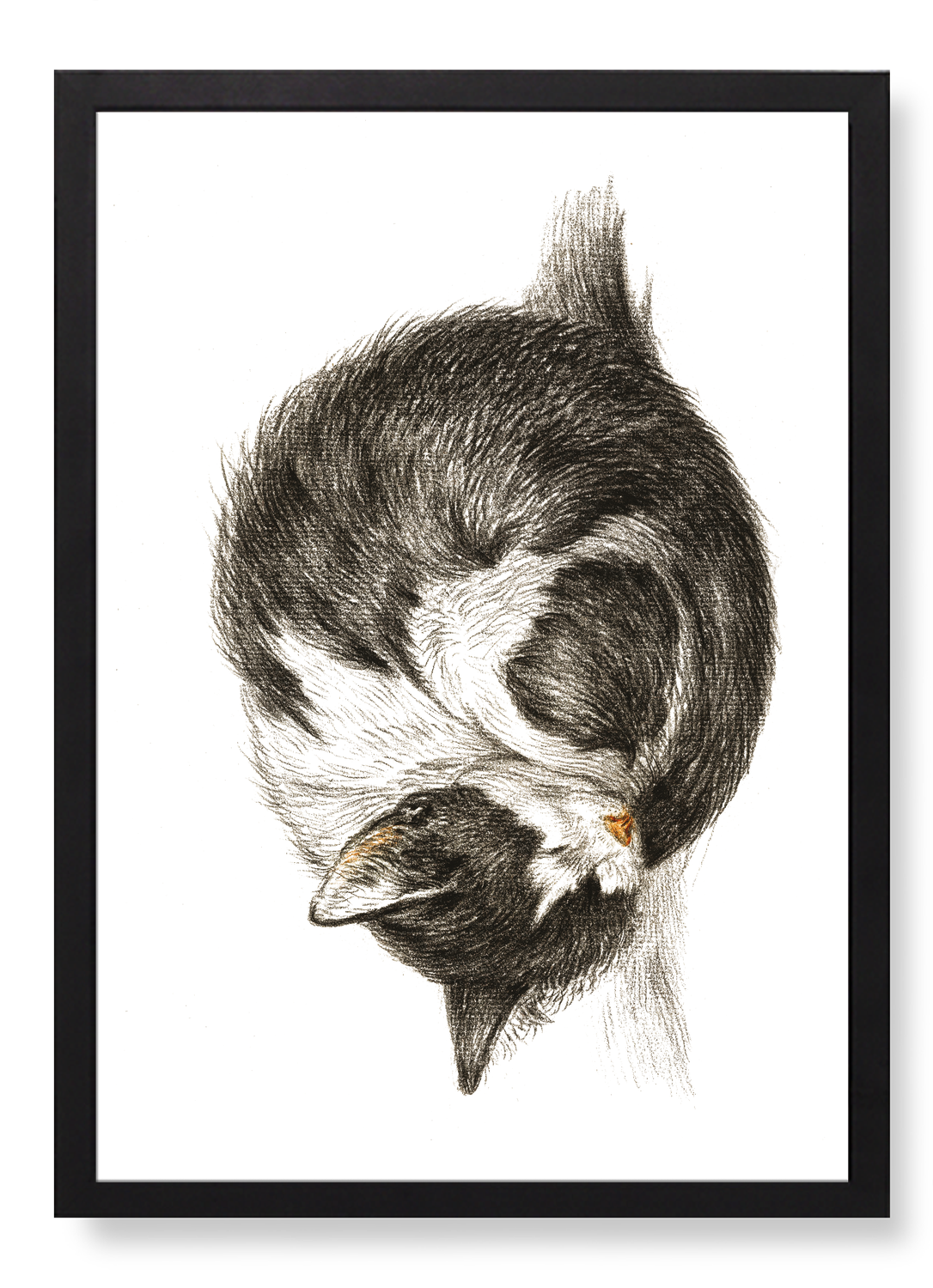 Print in the frame