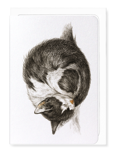 Ezen - Curled up sleeping cat (1825) - Greeting Card - Front
