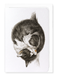 Ezen - Curled up sleeping cat (1825) - Greeting Card - Front
