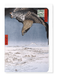 Ezen - Fukagawa Susaki and Jumantsubo (1857) - Greeting Card - Front