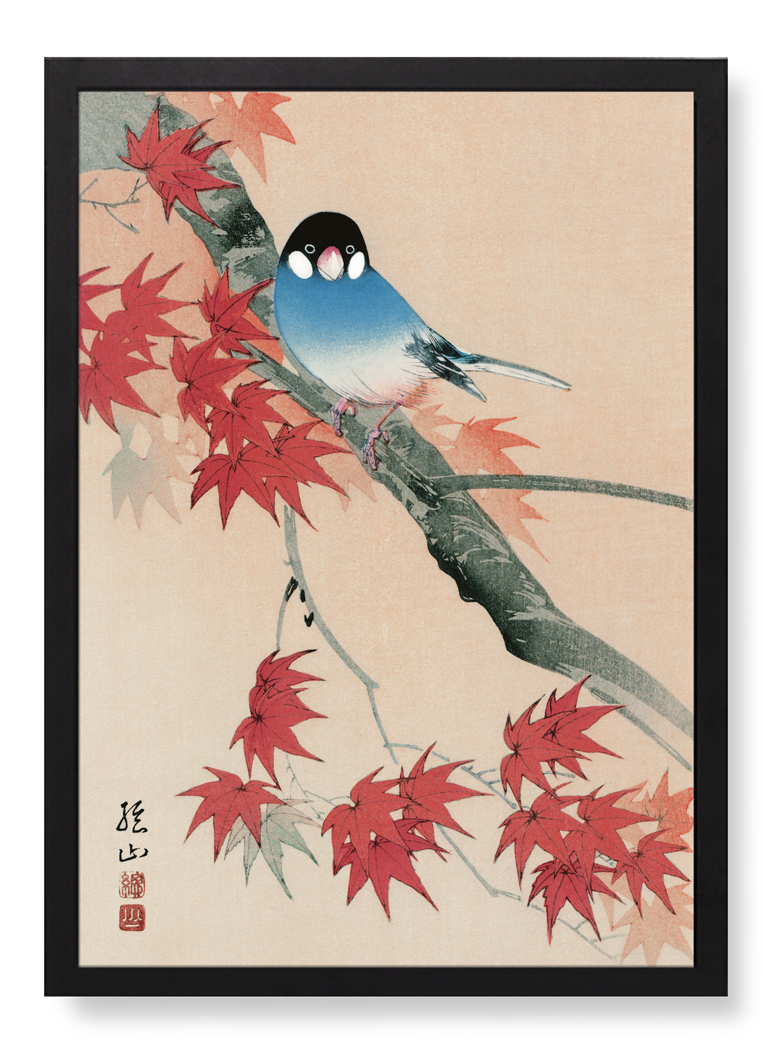 Print in the frame