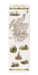 Ezen - Map of Scotland (1851) - Bookmark - Front
