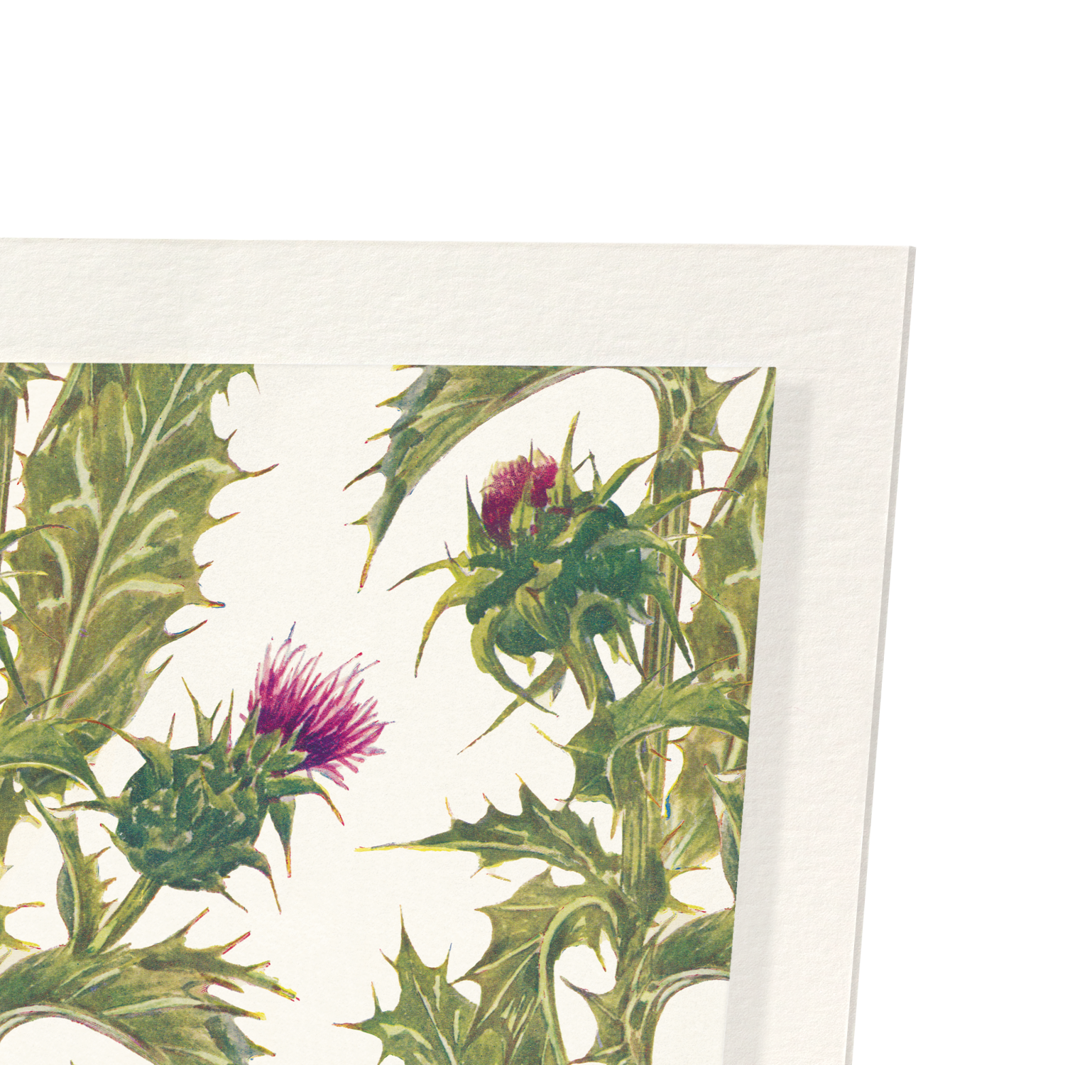 Detail from print
